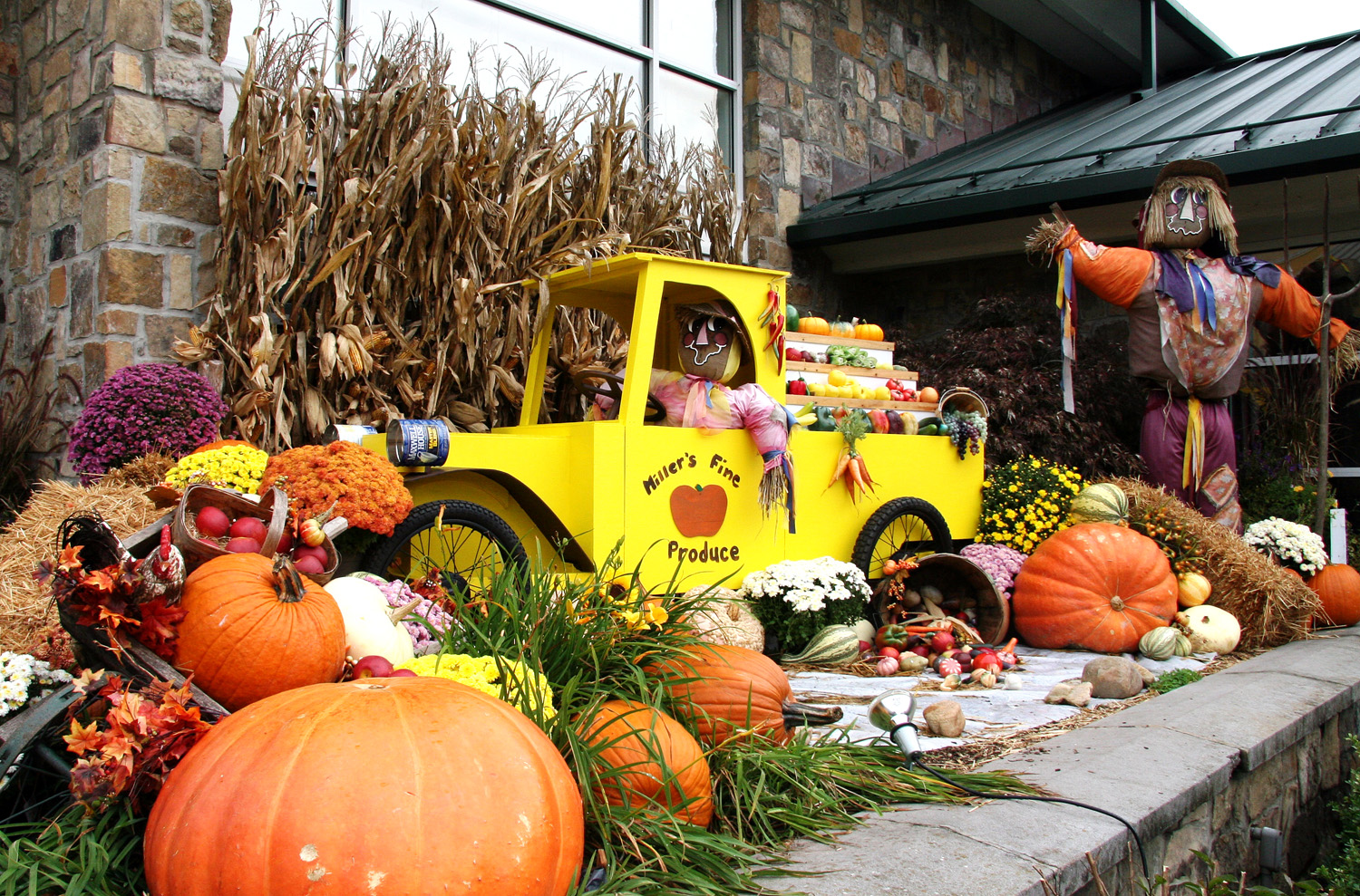 Harvest Festival 2024 Gatlinburg Tn Usa Lauri Moselle